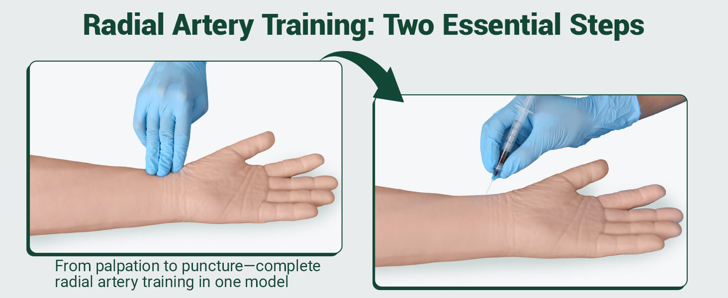 arterial puncture wrist training model