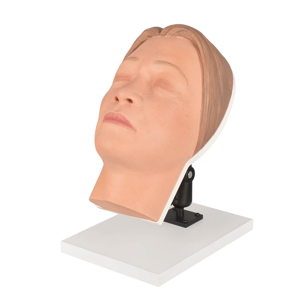 Asian Female Facial Injection Trainer Head with Adjustable Base