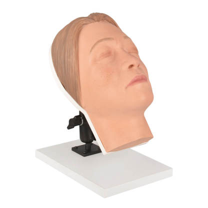 Asian Female Facial Injection Trainer Head with Adjustable Base