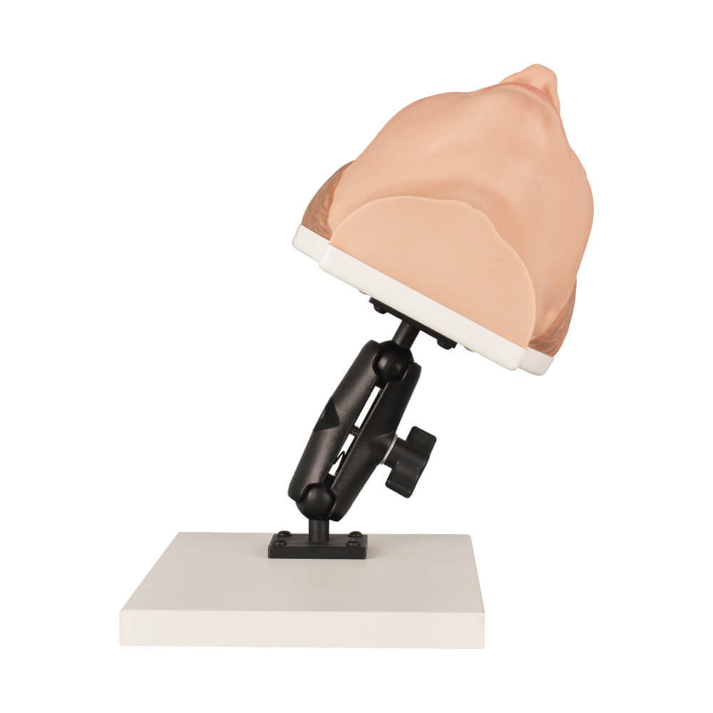 Asian Female Facial Injection Trainer Head with Adjustable Base