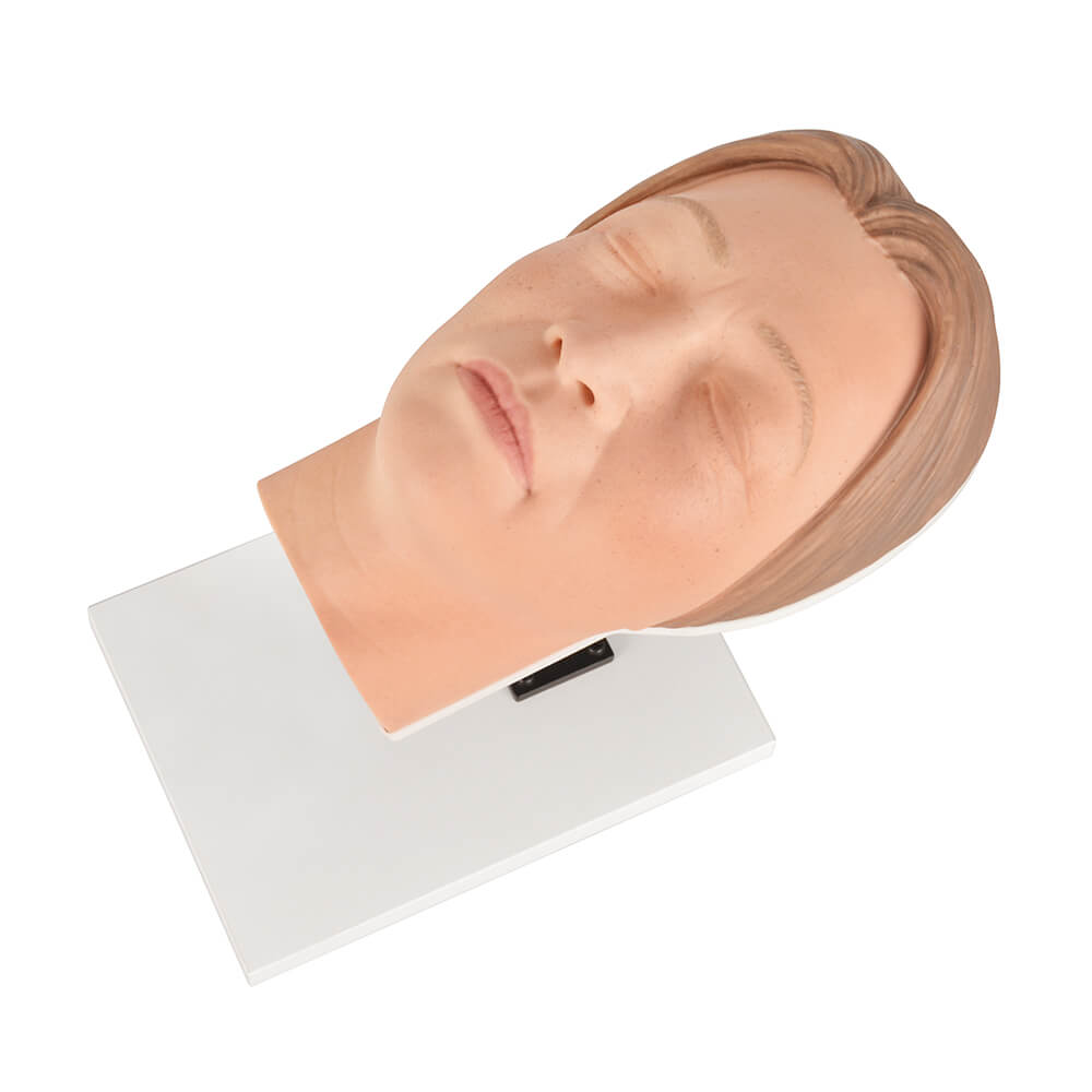 Asian Female Facial Injection Trainer Head with Adjustable Base