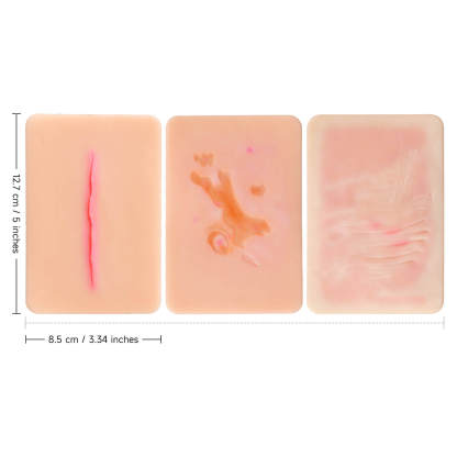 Atrophic Scar Wound Simulation Models (Set of 3)