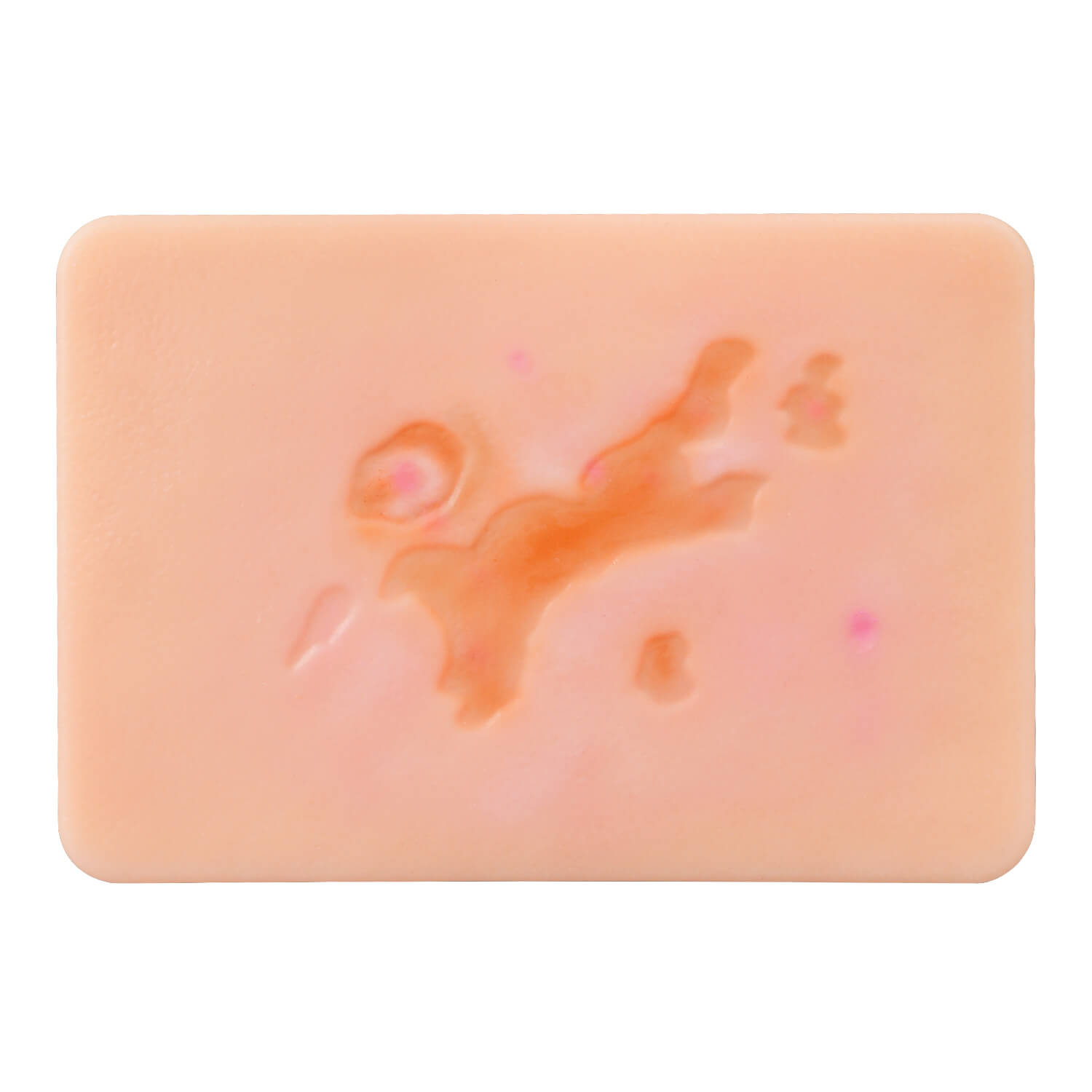 Atrophic Scar Wound Simulation Models (Set of 3)