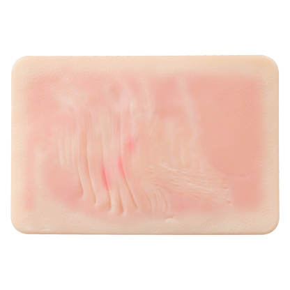 Atrophic Scar Wound Simulation Models (Set of 3)