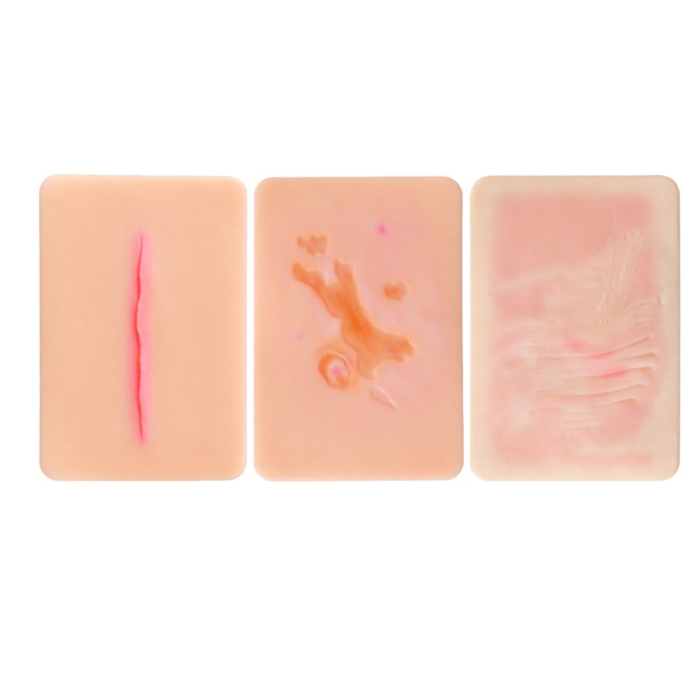 Atrophic Scar Wound Simulation Models (Set of 3)