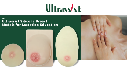Ultrassist Silicone Breast Model for Lactation Education(Single)