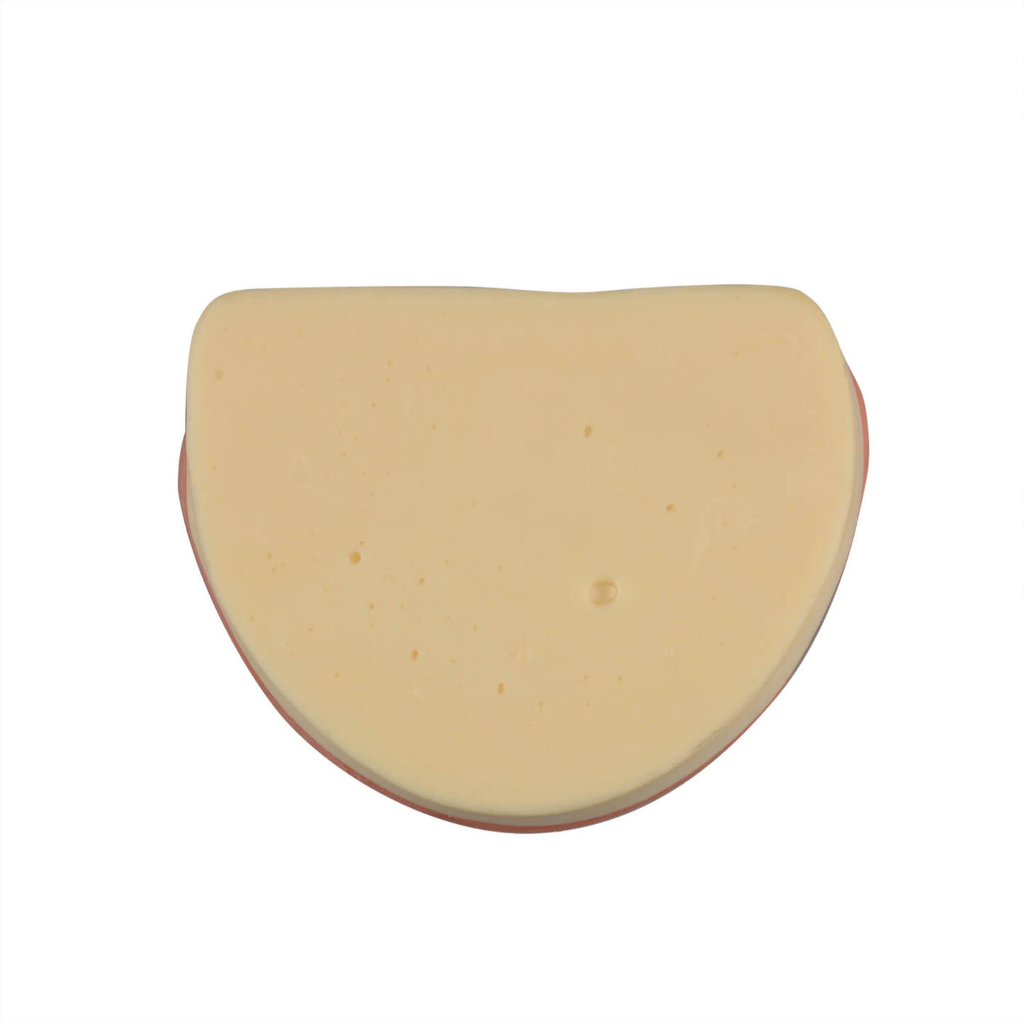 Dental Implant Training Lower Jaw Model with Gingiva, 8 Teeth