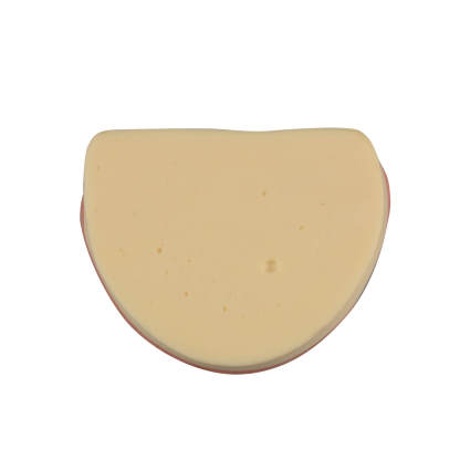 Dental Implant Training Lower Jaw Model with Gingiva, 8 Teeth