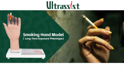 Female Smoking Hand Display Model with Rotating Magnetic Tray 