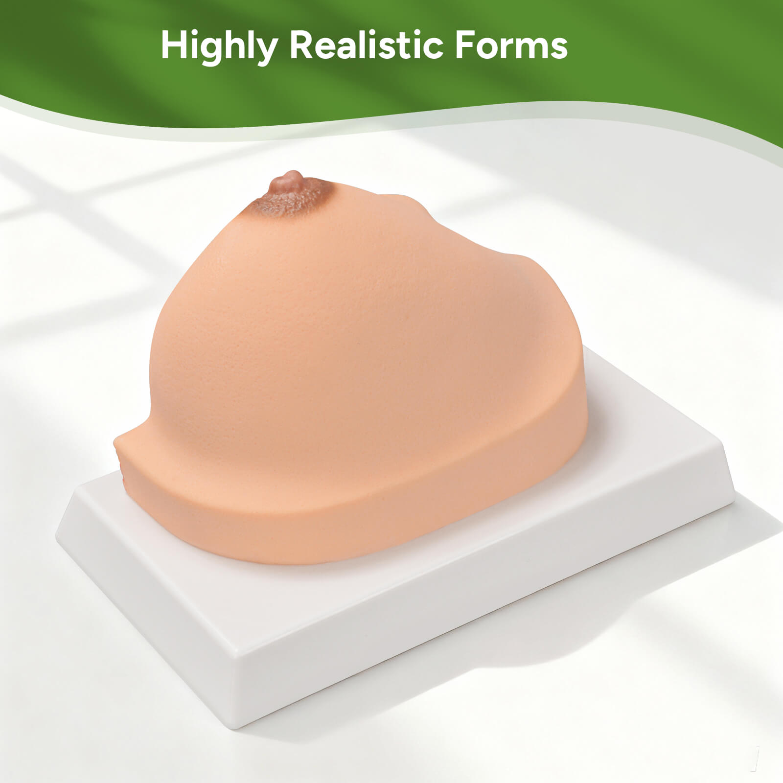 Anatomical Breast Model with Common Pathologies (Cross-Section)