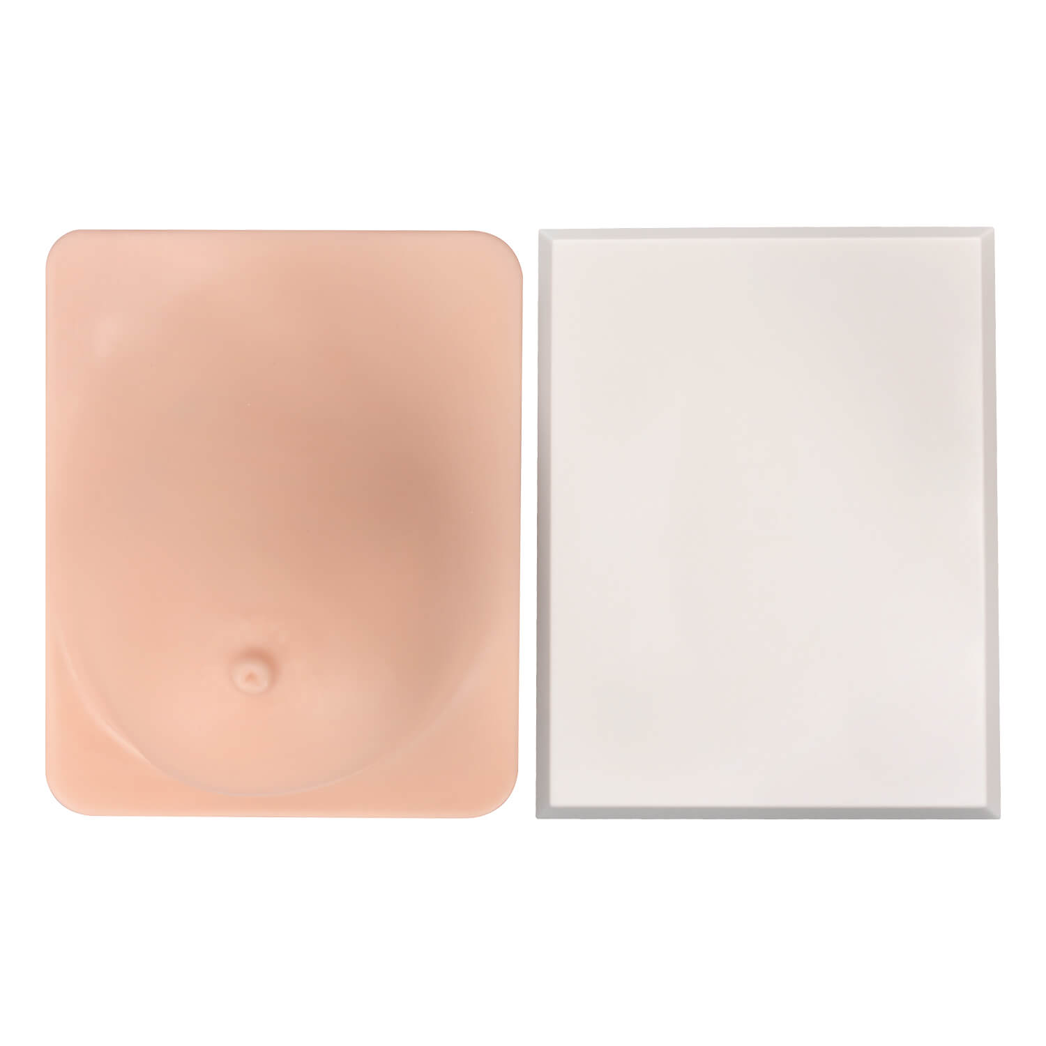Breast Anatomy & Pathology Model with 5 Conditions