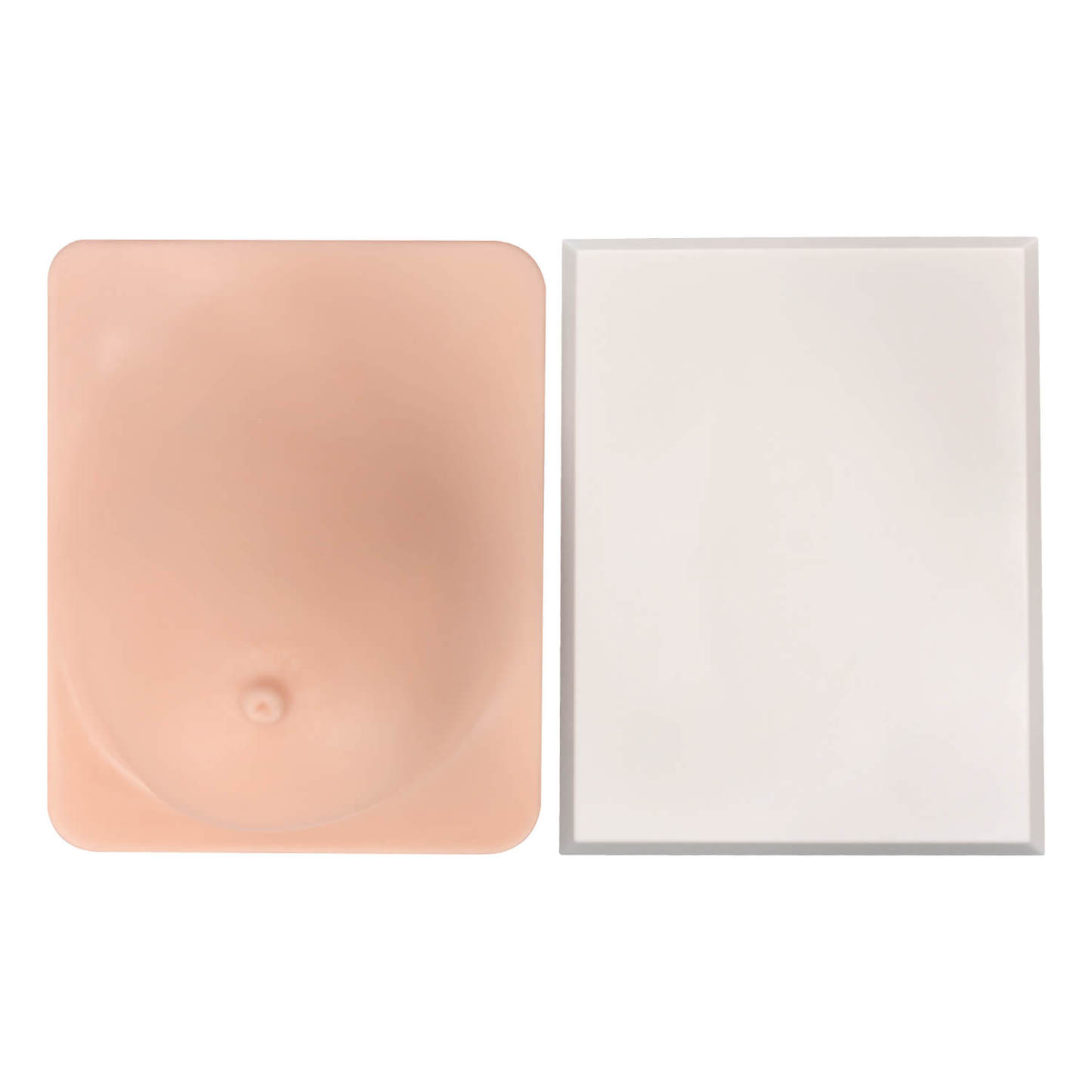 Breast Anatomy & Pathology Model with 5 Conditions