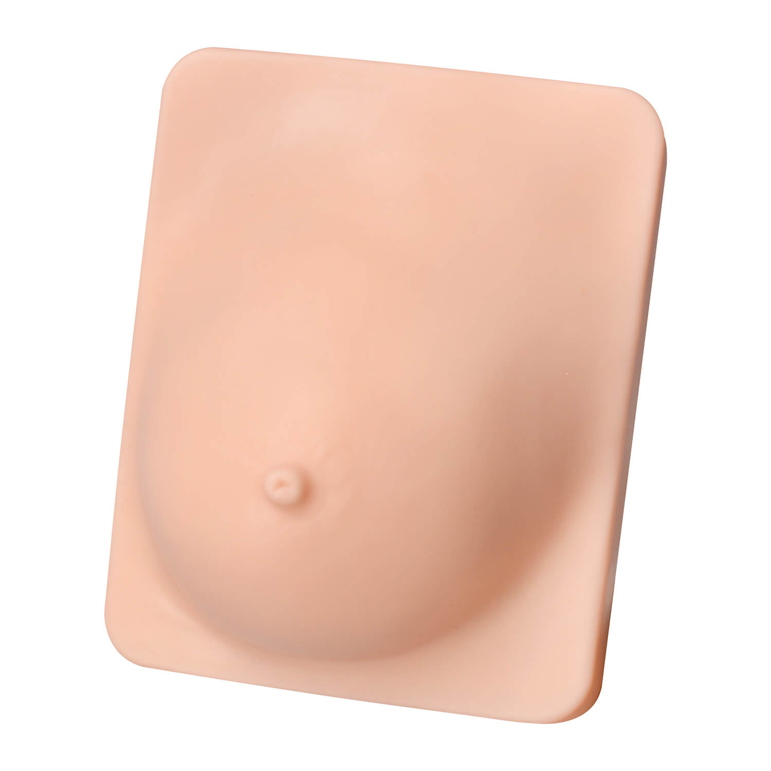 Breast Anatomy & Pathology Model with 5 Conditions