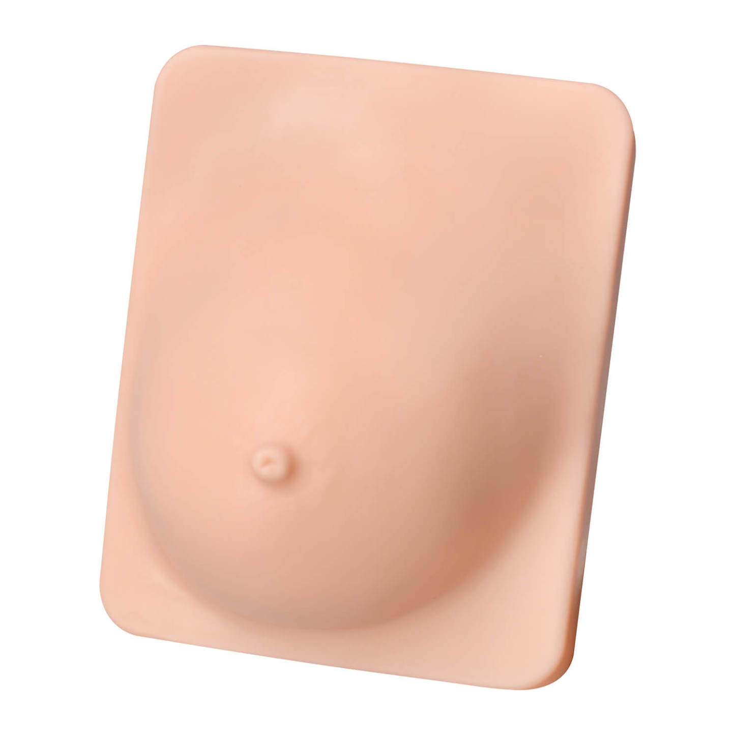 Breast Anatomy & Pathology Model with 5 Conditions