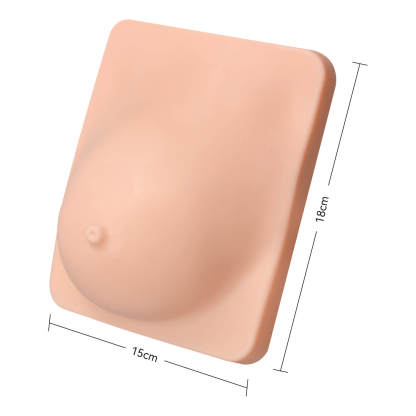 Breast Anatomy & Pathology Model with 5 Conditions