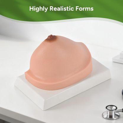 Ultrassist Silicone Breast Cross-Section Model - Female Breast Anatomy