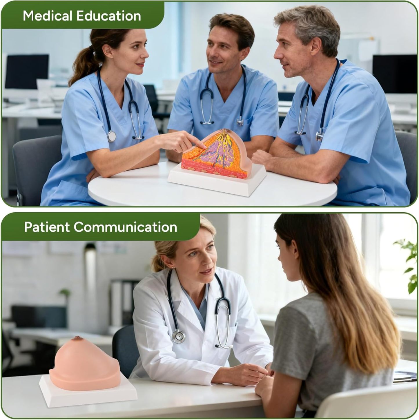 Ultrassist Silicone Breast Cross-Section Model - Female Breast Anatomy