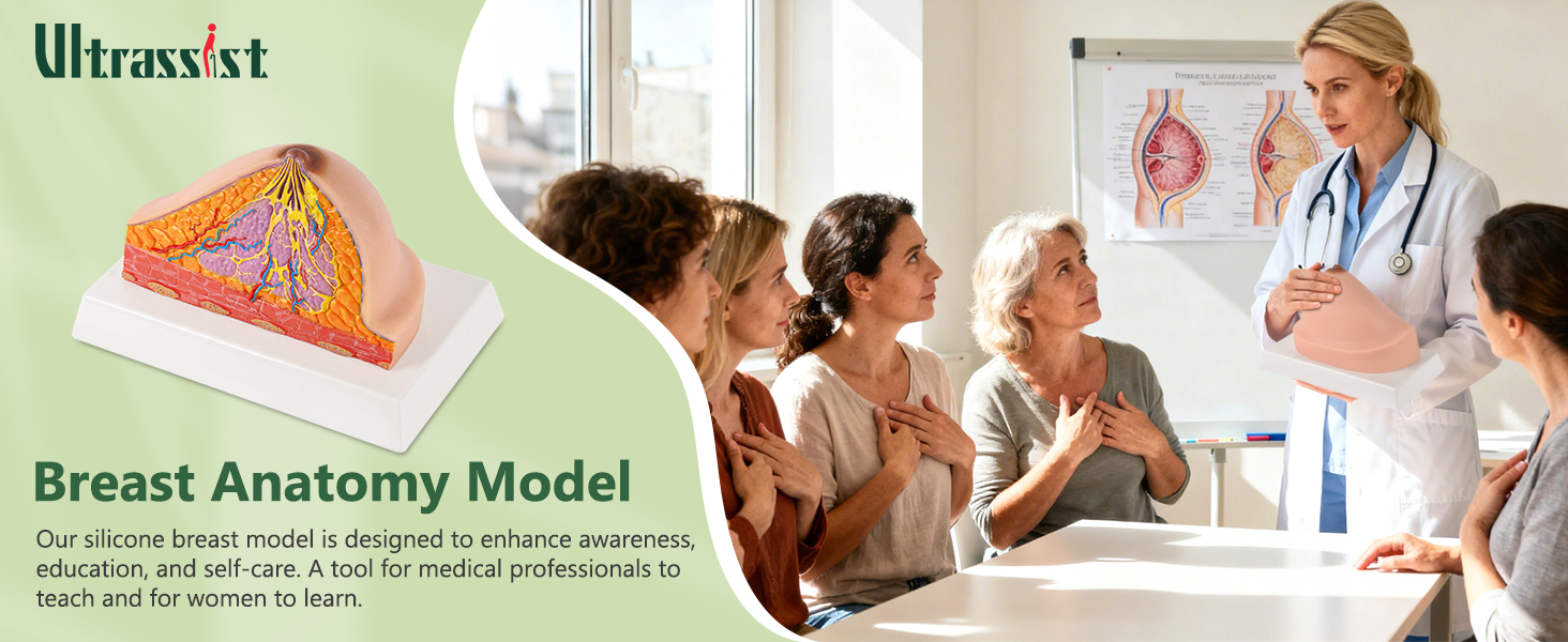 Ultrassist Silicone Breast Cross-Section Model &ndash; Normal Female Breast Anatomy for Medical Training & Patient Education