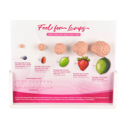 Breast Lump Display for BSE Awareness and Education