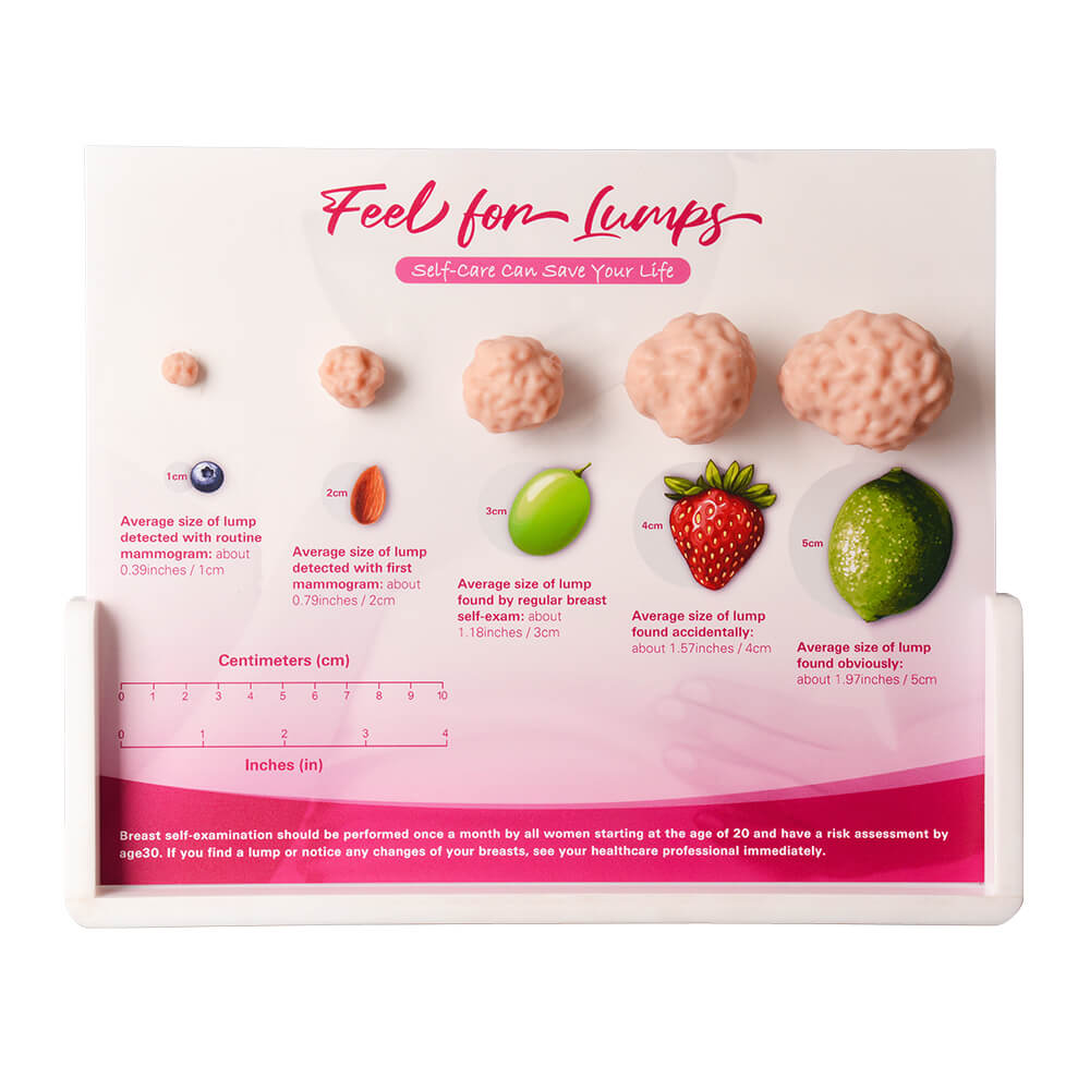Breast Lump Display for BSE Awareness and Education