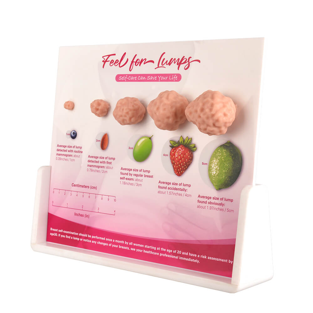 Breast Lump Display for BSE Awareness and Education