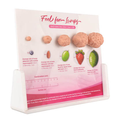 Breast Lump Display for BSE Awareness and Education