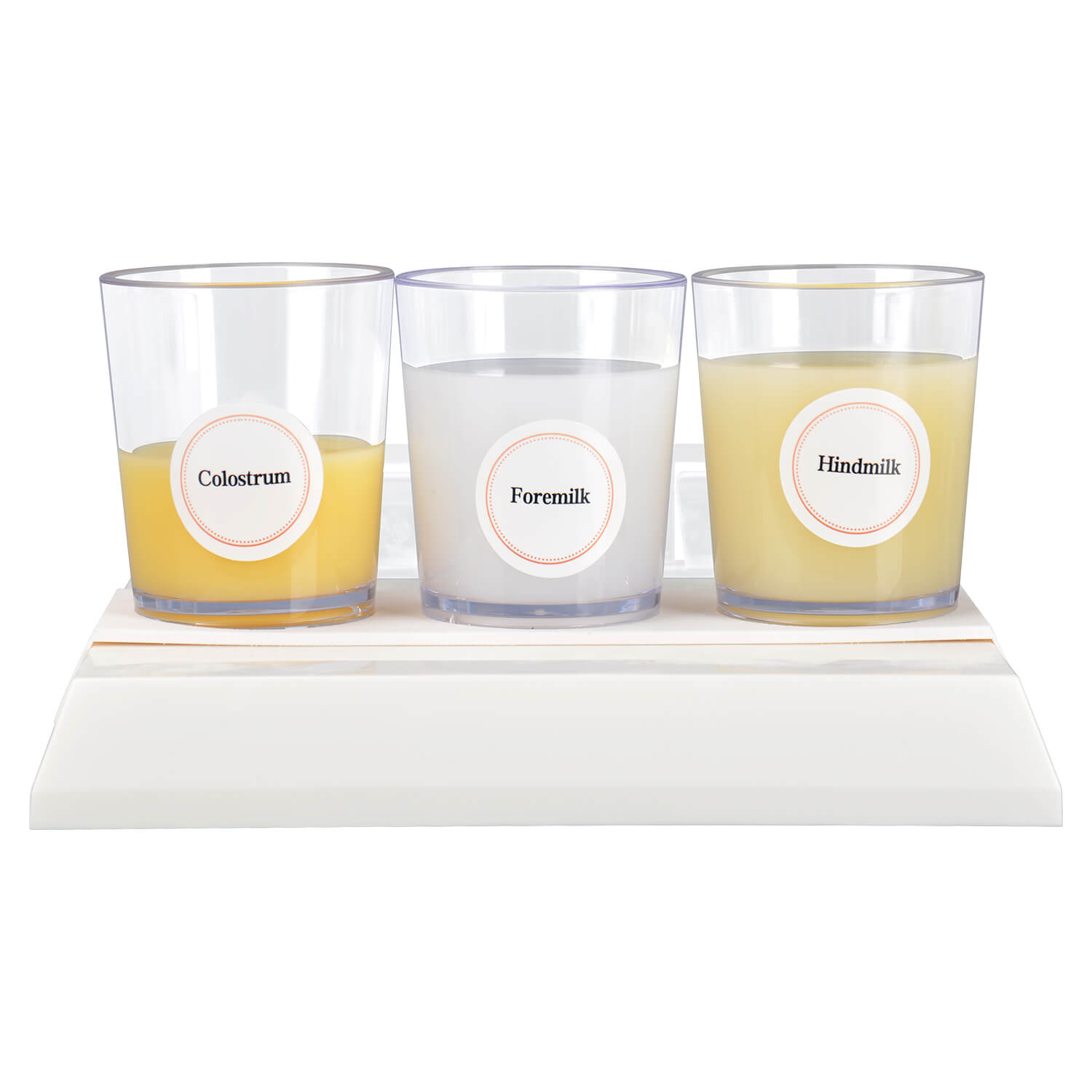 Breast Milk Composition Display with Colostrum, Foremilk and Hindmilk