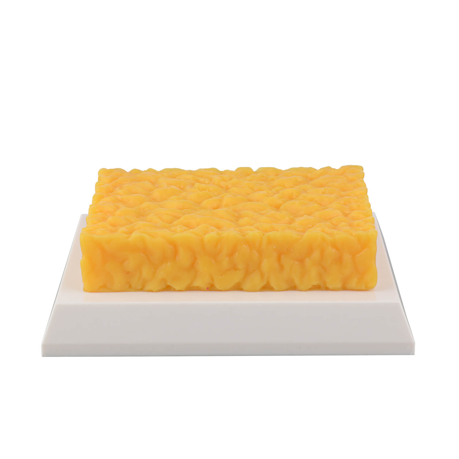 Authentic 1-Pound Square Human Fat Replica for Fitness Motivation & Education