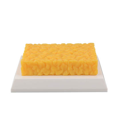 Authentic 1-Pound Square Human Fat Replica for Fitness Motivation & Education