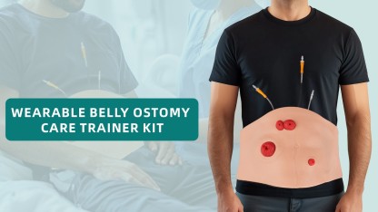 Wearable Belly Ostomy Care Training Model with Simulated Excretion