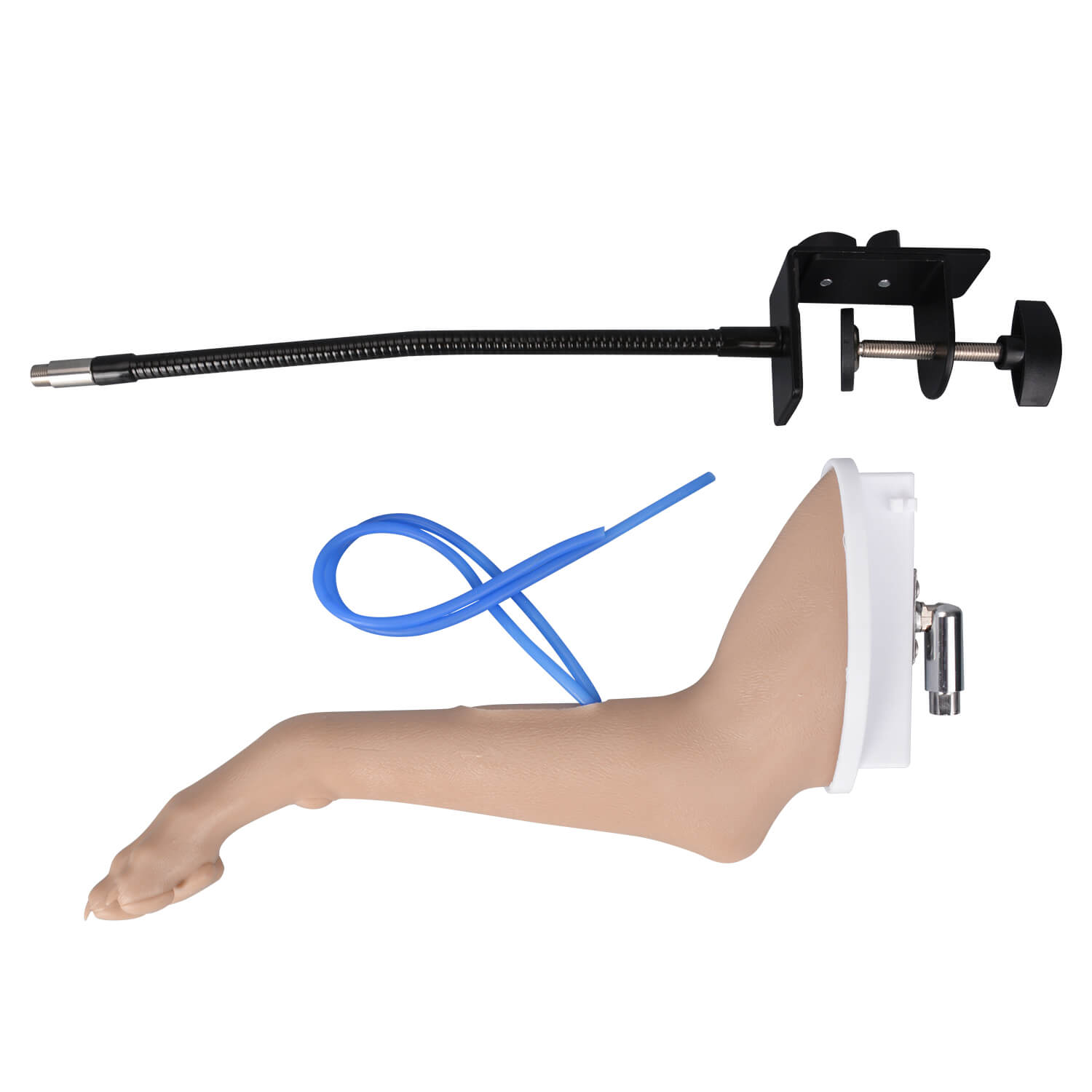 Canine Forelimb Bandaging & Cephalic Vein IV Training Kit