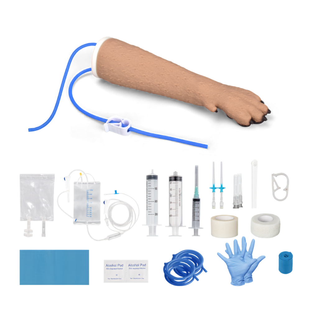 Canine Forelimb Cephalic Vein IV Injection Training Kit