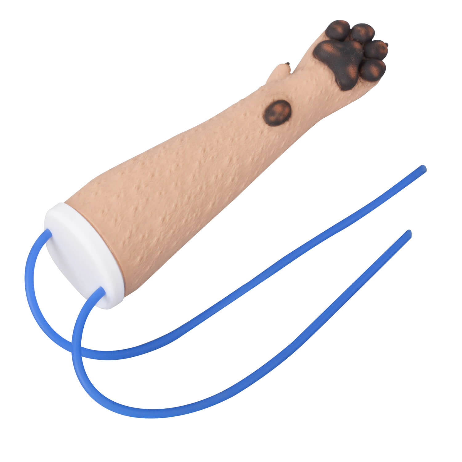 Canine Forelimb Cephalic Vein IV Injection Training Kit