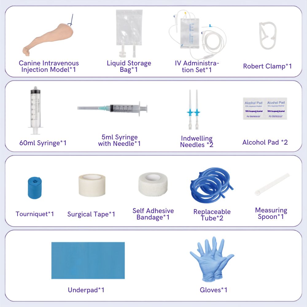Canine Hind Limb Saphenous Vein IV Catheterization Training Kit