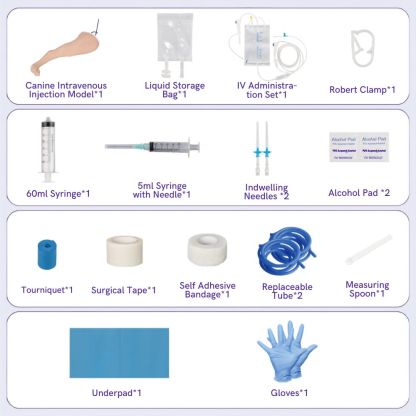 Canine Hind Limb Saphenous Vein IV Catheterization Training Kit