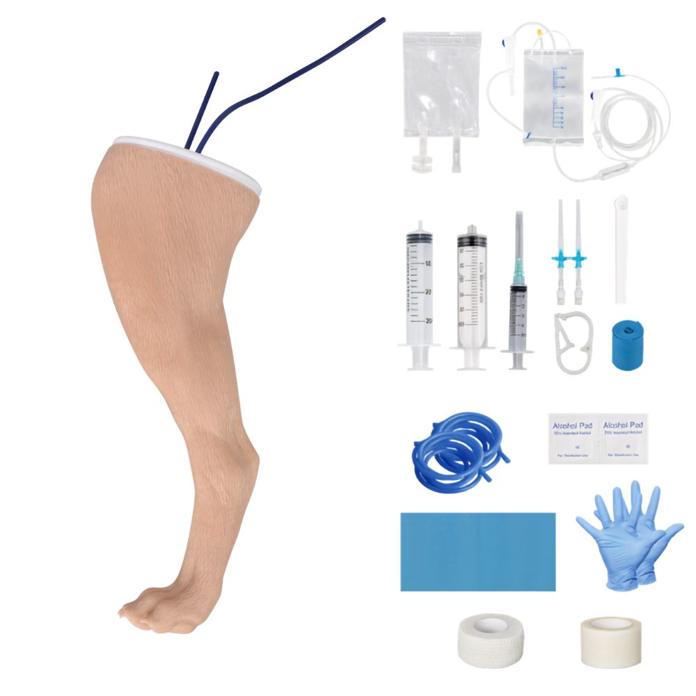 Canine Hind Limb Saphenous Vein IV Catheterization Training Kit