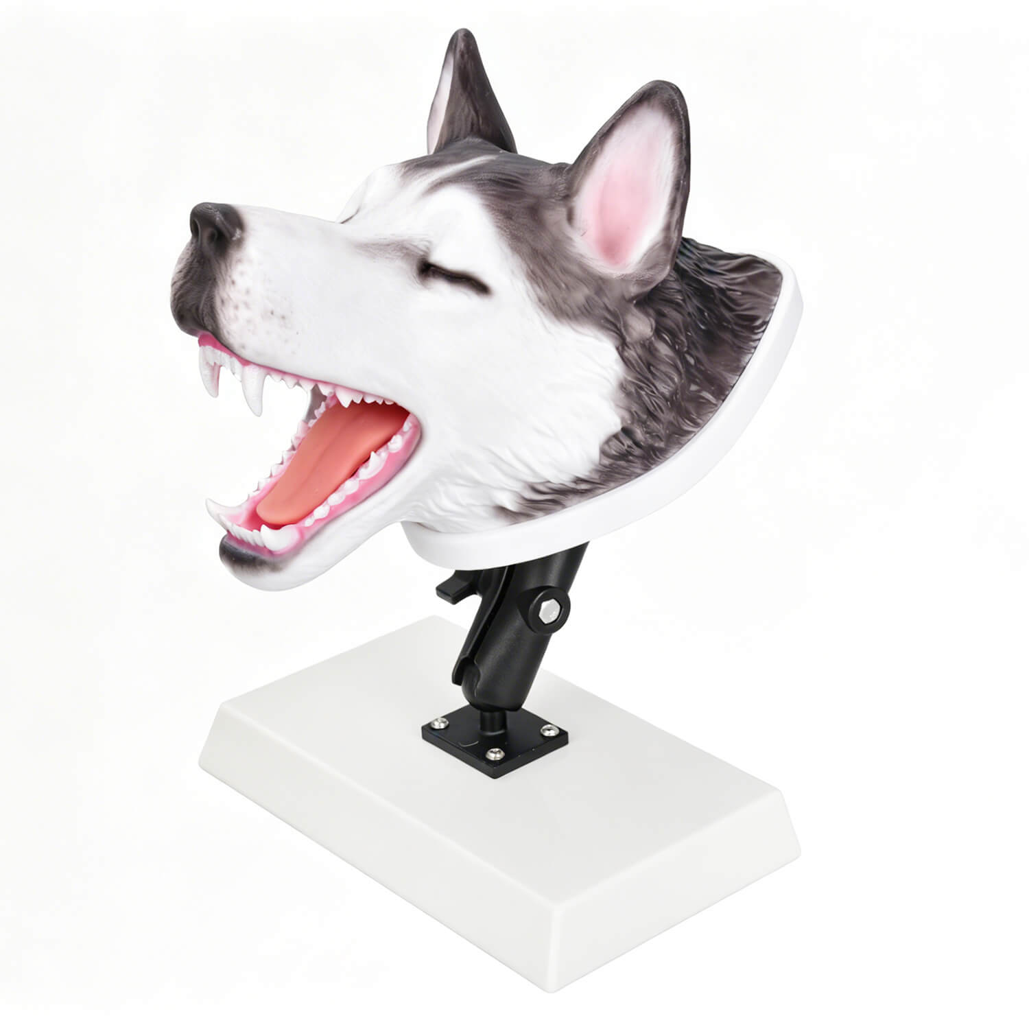 Canine Intubation Simulator