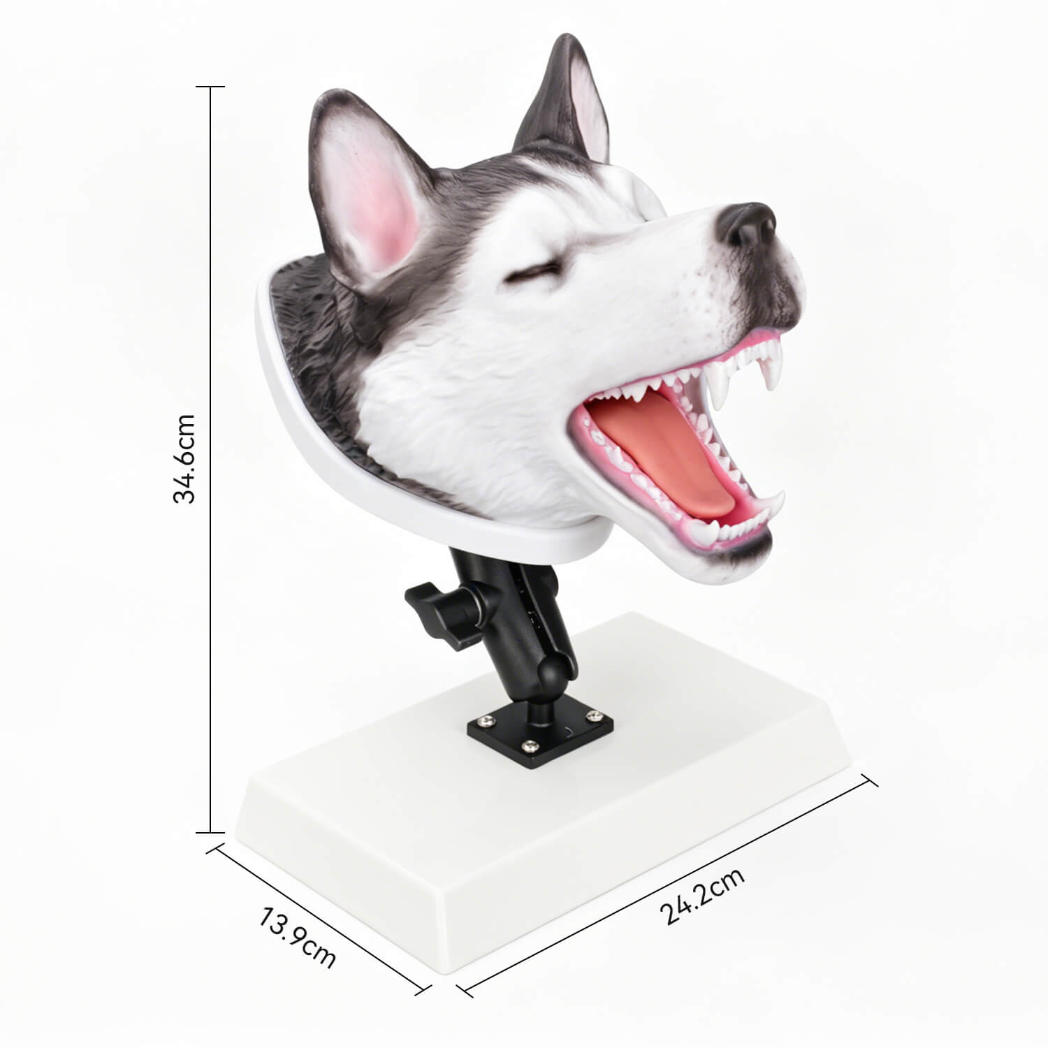 Canine Intubation Simulator