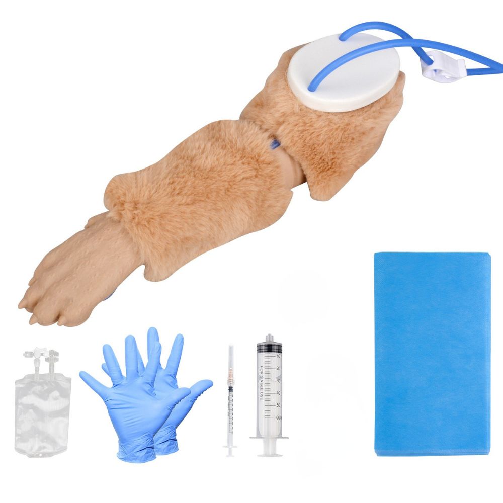Canine IV Leg Training Kit for classrooms, labs, or clinical training
