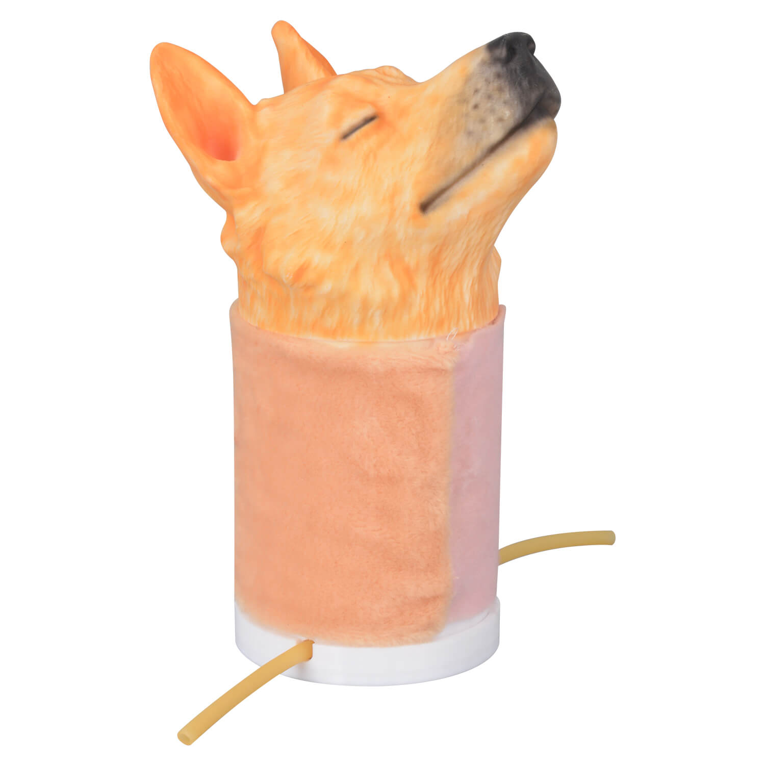 Canine Jugular Venipuncture Training Head