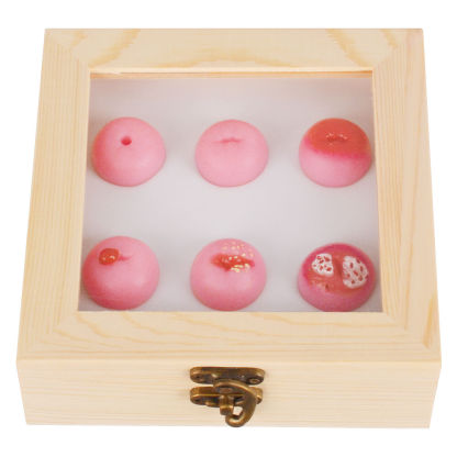 Cervical Pathology Model with 6 Cervical Replicas