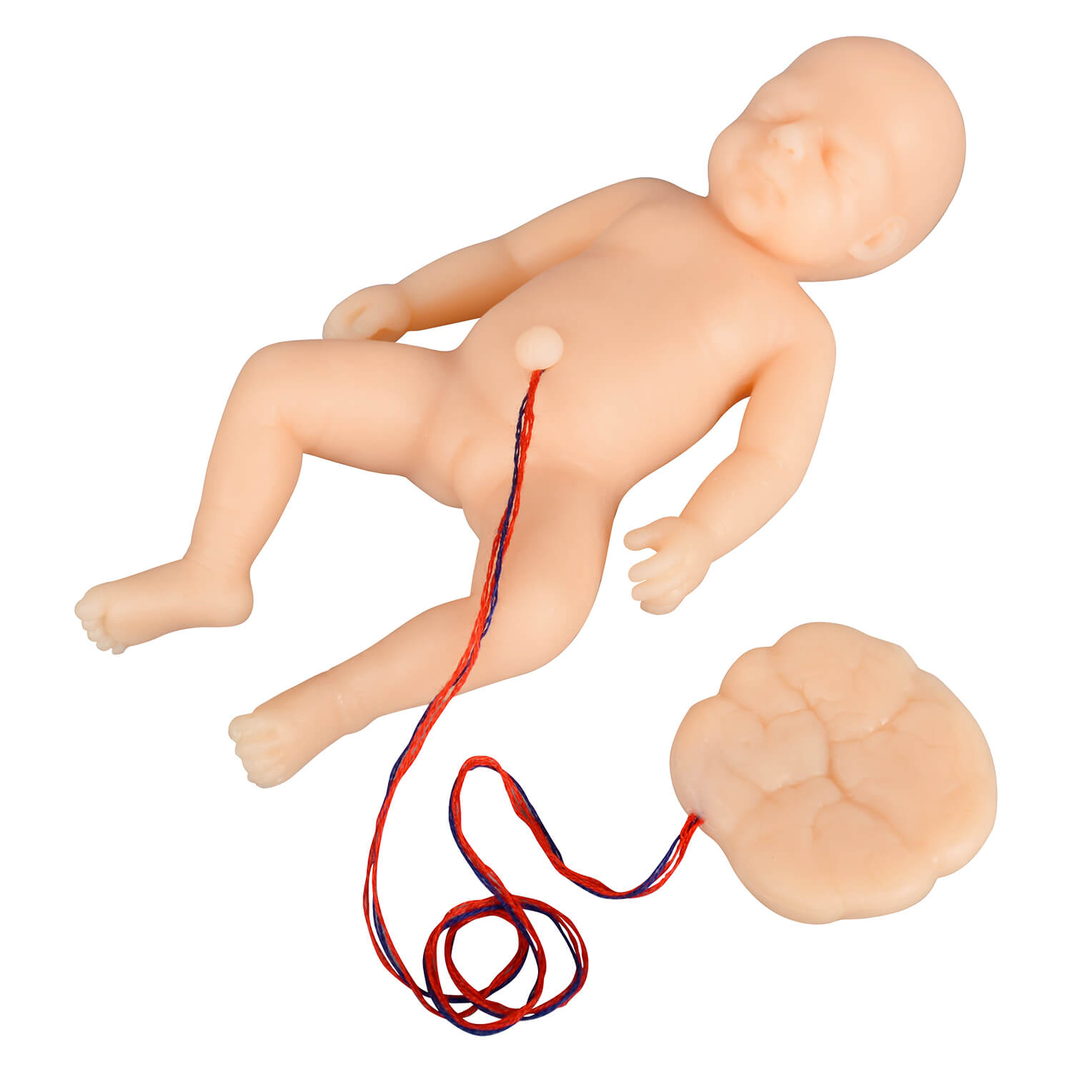 Mini Childbirth Demonstration Model with Flexible Pelvis