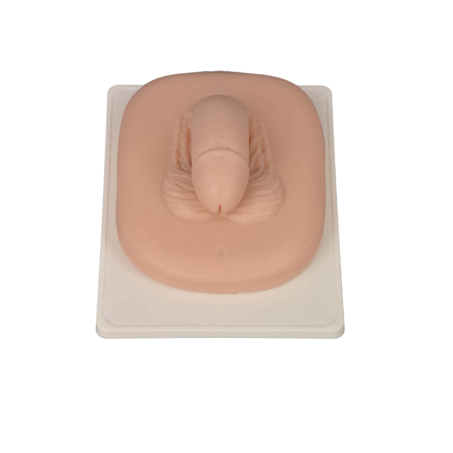 Adult Male Circumcision Model, Light Skin Tone