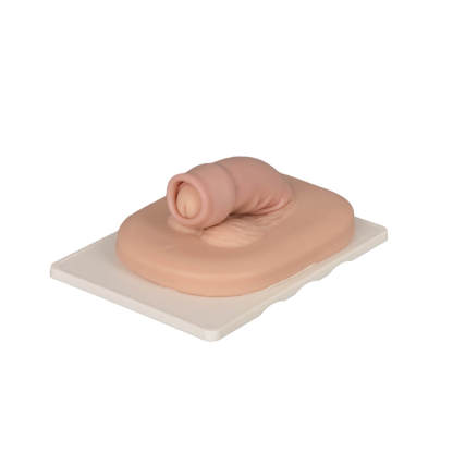 Light Skin Adult Male Circumcision Trainer