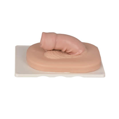 Adult Male Circumcision Simulator, Light Skin Tone
