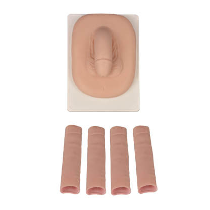Adult Male Circumcision Trainer with Replaceable Foreskin