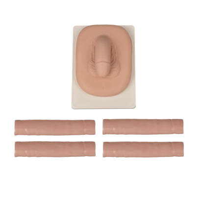 Adult Male Circumcision Trainer, Light Skin Tone