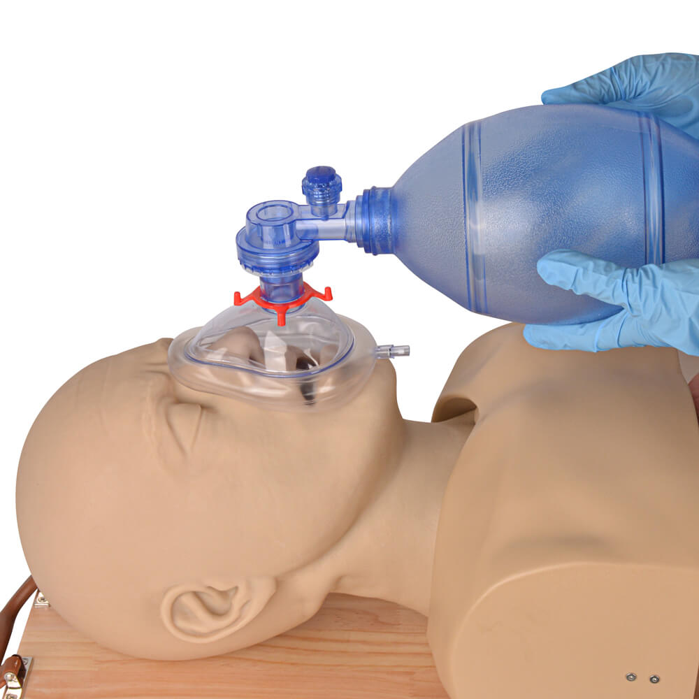 AMT Comprehensive Adult Airway Management Trainer
