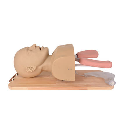 AMT Comprehensive Adult Airway Management Trainer