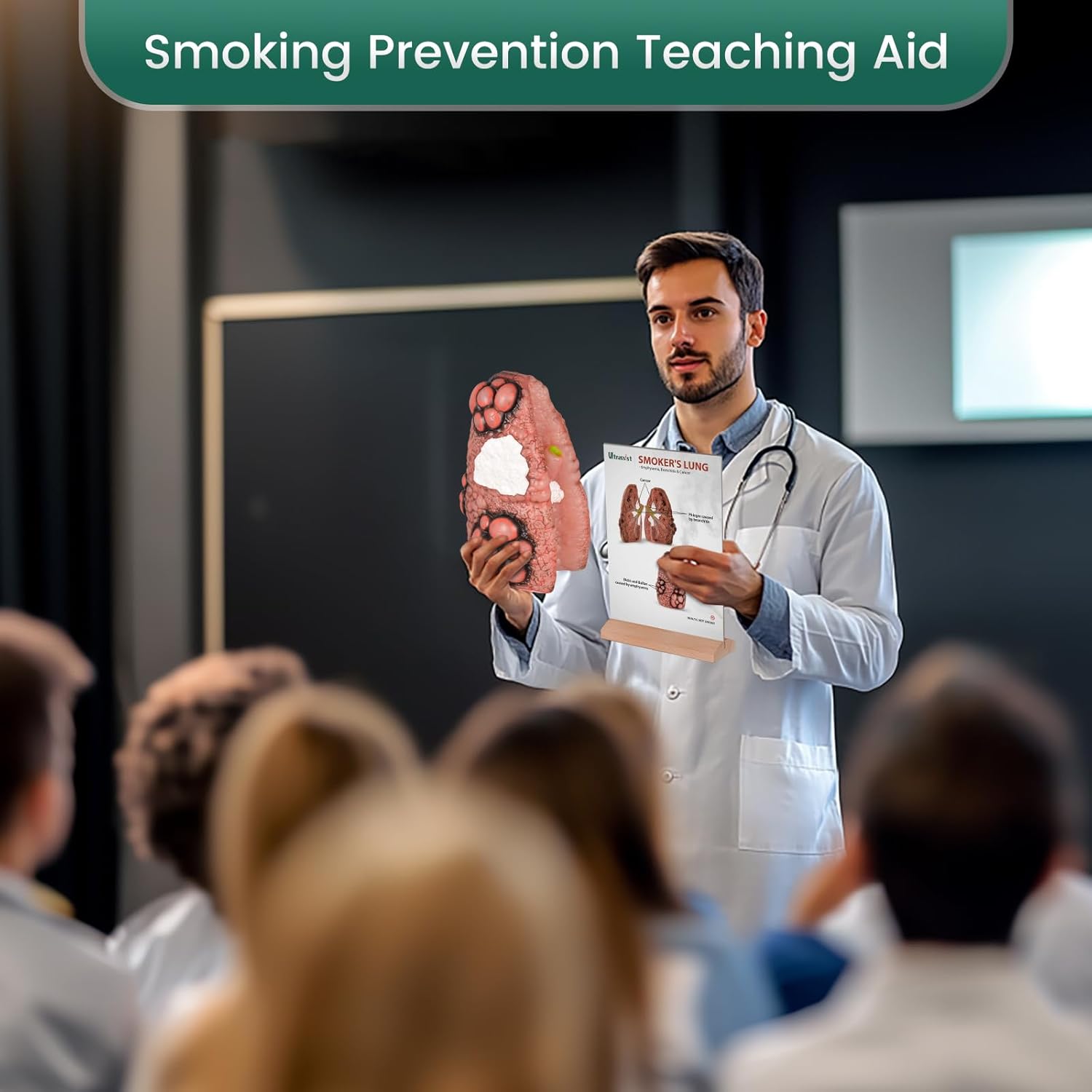 Ultrassist Cough Up Lung Model for Smoking Education and Lung Anatomy